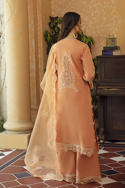 JAHAN ARA (AB-01)