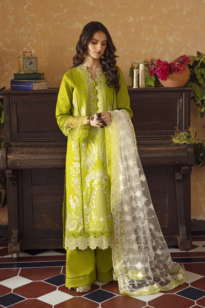 SHAMAH (AB-03)