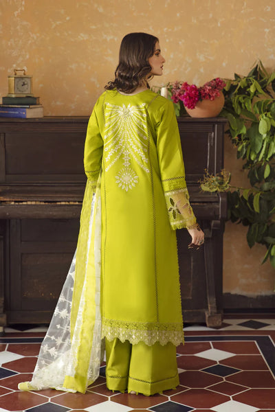 SHAMAH (AB-03)