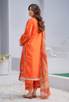 ARZOO COLLECTION-EBBROIDEREY LAWN COLLECTION-AR-02
