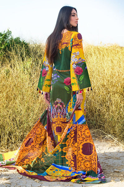 Gul Ahmed Lawn (CL-1251-B)